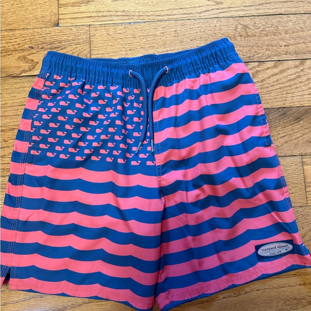 Vineyard Vines Blue and Pink Striped Swim Shorts